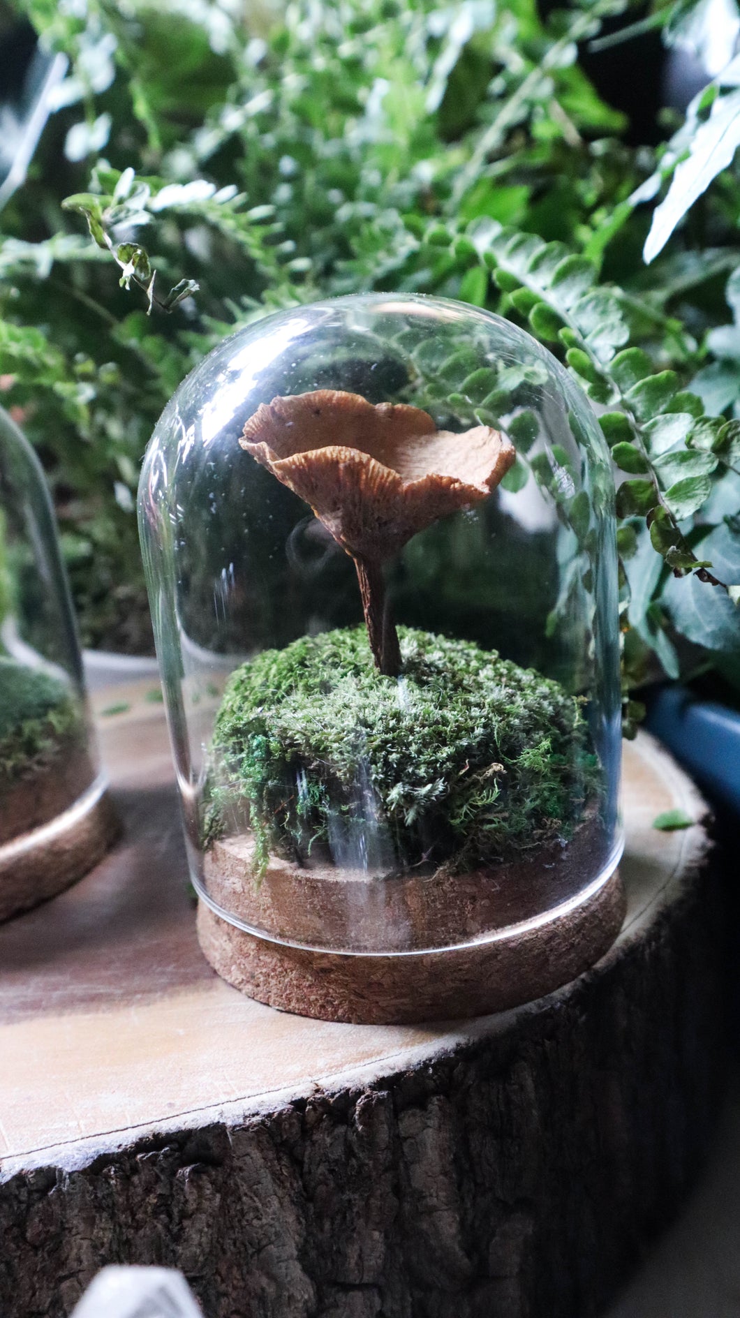 Medium Mushroom Dome