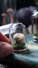 Load image into Gallery viewer, Mini Mushroom Dome
