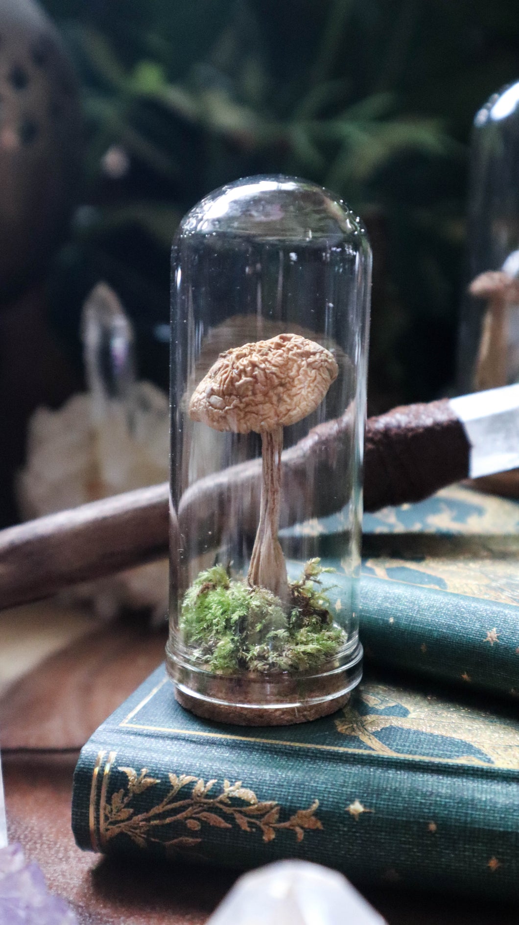 Tall Mushroom Dome