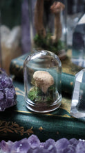 Load image into Gallery viewer, Mini Mushroom Dome
