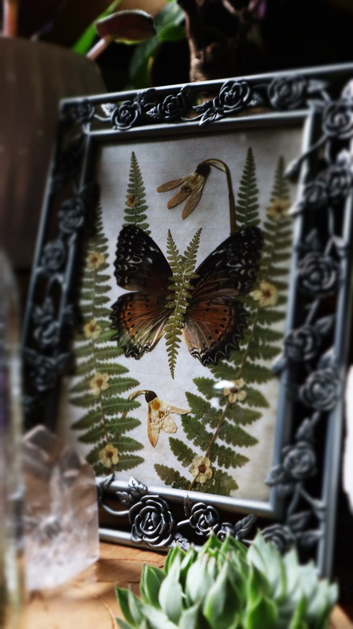 Fern Flutter Frame