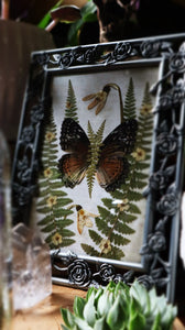 Fern Flutter Frame